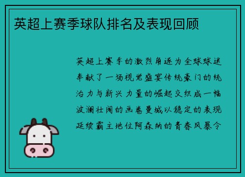 英超上赛季球队排名及表现回顾